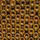 Champagne bottles